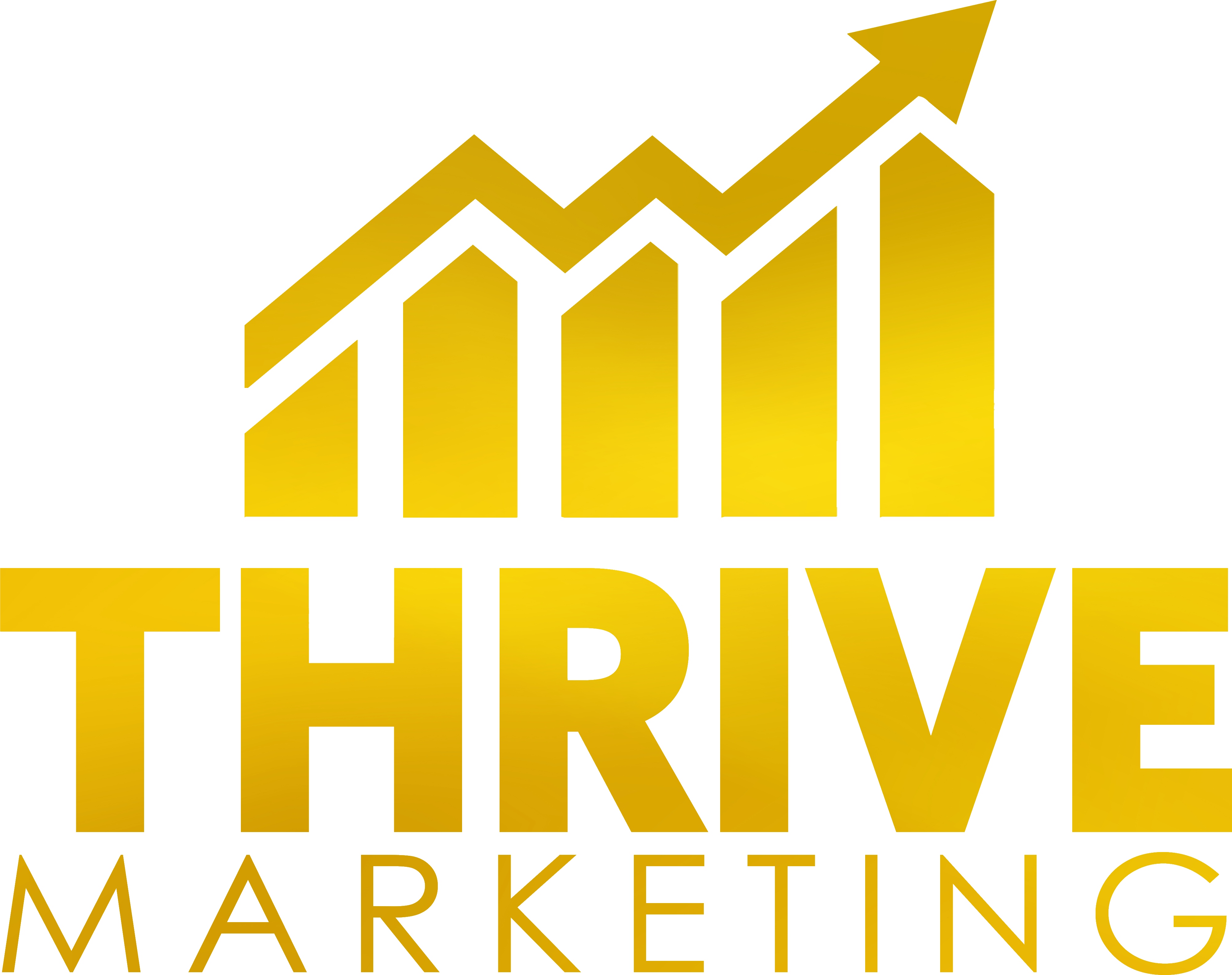 Home Thrivemarketing Team